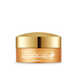 DEOPROCE FERMENTATION ACTIVE HEALING CREAM 100g