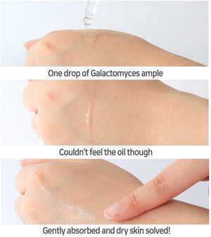 Hell-pore Galactomyces Pure Ample