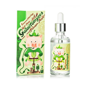 Hell-pore Galactomyces Premium Ample