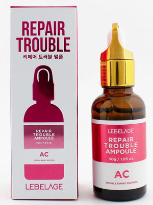 LEBELAGE REPAIR TROUBLE AC AMPOULE
